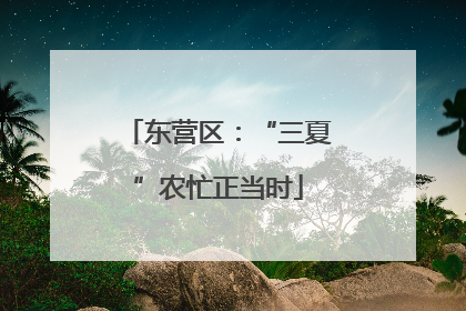 东营区：“三夏”农忙正当时