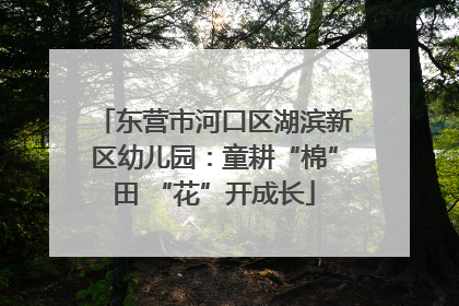 东营市河口区湖滨新区幼儿园：童耕“棉”田 “花”开成长