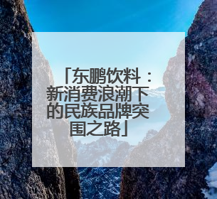 东鹏饮料：新消费浪潮下的民族品牌突围之路