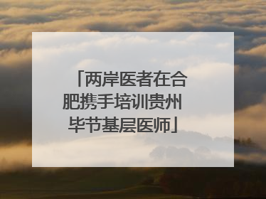 两岸医者在合肥携手培训贵州毕节基层医师