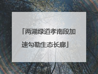 两湖绿道孝南段加速勾勒生态长廊
