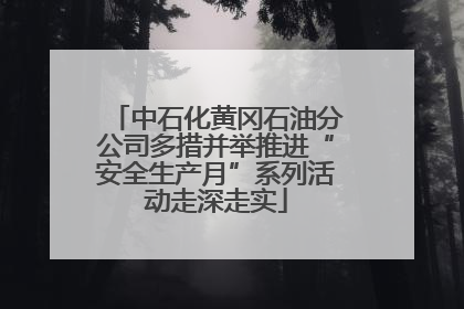 中石化黄冈石油分公司多措并举推进“安全生产月”系列活动走深走实