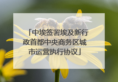 中埃签署埃及新行政首都中央商务区城市运营执行协议