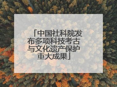 中国社科院发布多项科技考古与文化遗产保护重大成果