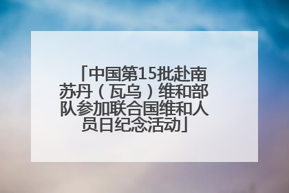 中国第15批赴南苏丹（瓦乌）维和部队参加联合国维和人员日纪念活动