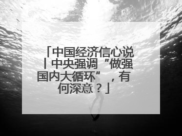 中国经济信心说丨中央强调“做强国内大循环”，有何深意？