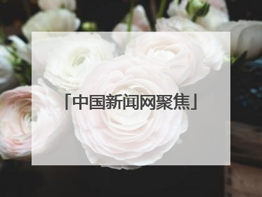 中国新闻网聚焦