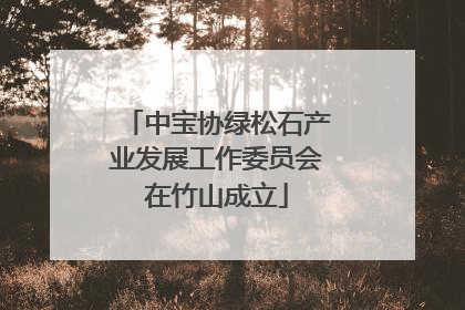 中宝协绿松石产业发展工作委员会在竹山成立