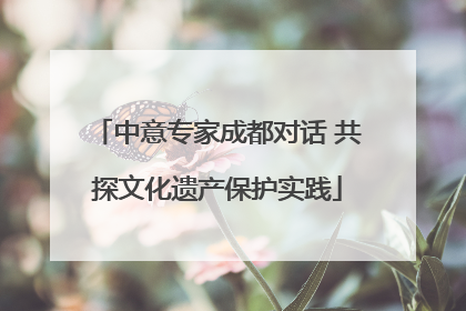 中意专家成都对话 共探文化遗产保护实践