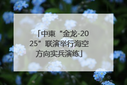 中柬“金龙-2025”联演举行海空方向实兵演练