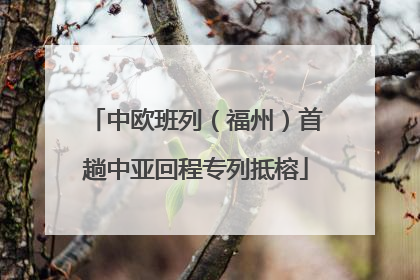 中欧班列（福州）首趟中亚回程专列抵榕