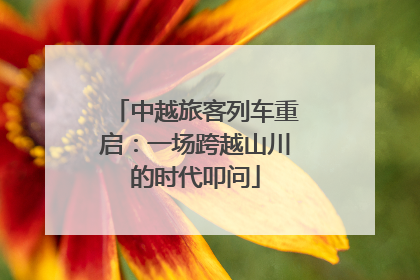 中越旅客列车重启：一场跨越山川的时代叩问