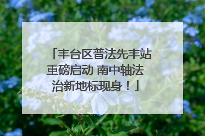 丰台区普法先丰站重磅启动 南中轴法治新地标现身！
