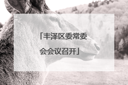 丰泽区委常委会会议召开