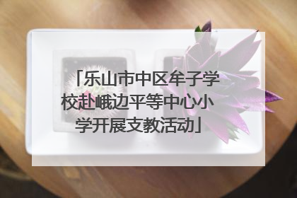 乐山市中区牟子学校赴峨边平等中心小学开展支教活动