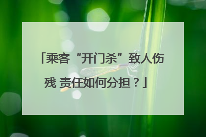 乘客“开门杀”致人伤残 责任如何分担？