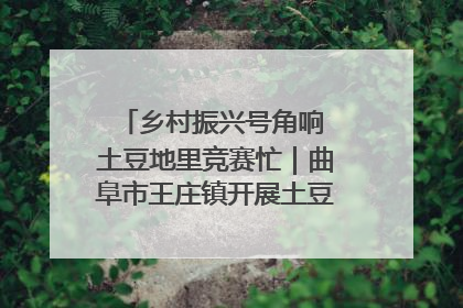 乡村振兴号角响 土豆地里竞赛忙｜曲阜市王庄镇开展土豆收获劳动竞赛