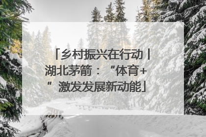 乡村振兴在行动丨湖北茅箭：“体育+”激发发展新动能