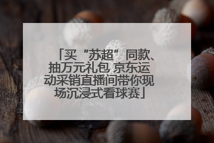 买“苏超”同款、抽万元礼包 京东运动采销直播间带你现场沉浸式看球赛