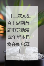 二次元集合！湖南首届电竞动漫嘉年华本月将在衡启幕