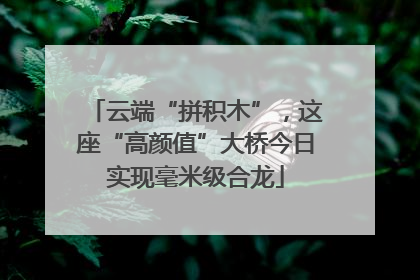 云端“拼积木”，这座“高颜值”大桥今日实现毫米级合龙