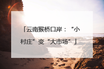 云南猴桥口岸：“小村庄”变“大市场”
