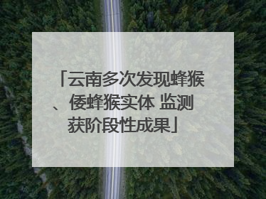 云南多次发现蜂猴、倭蜂猴实体 监测获阶段性成果