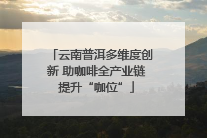 云南普洱多维度创新 助咖啡全产业链提升“咖位”