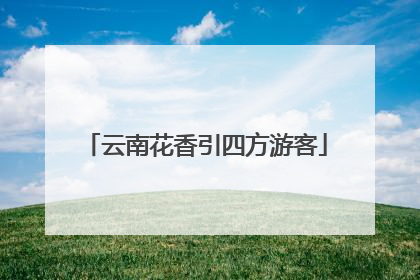 云南花香引四方游客