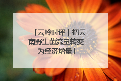 云岭时评｜把云南野生菌流量转变为经济增量