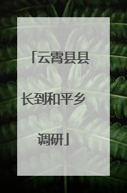 云霄县县长到和平乡调研