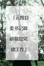 云霄县委书记调研基层党建工作