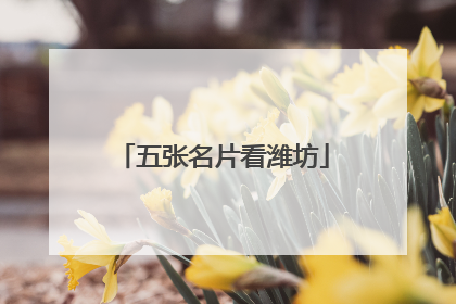 五张名片看潍坊