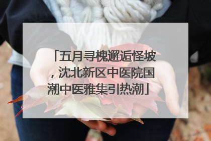 五月寻槐邂逅怪坡，沈北新区中医院国潮中医雅集引热潮