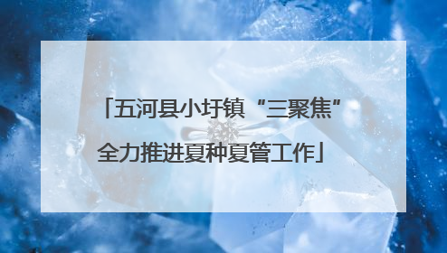 五河县小圩镇“三聚焦”全力推进夏种夏管工作
