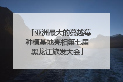 亚洲最大的蔓越莓种植基地亮相第七届黑龙江旅发大会