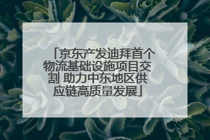 京东产发迪拜首个物流基础设施项目交割 助力中东地区供应链高质量发展