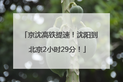 京沈高铁提速！沈阳到北京2小时29分！