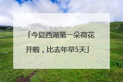 今夏西湖第一朵荷花开啦，比去年早5天