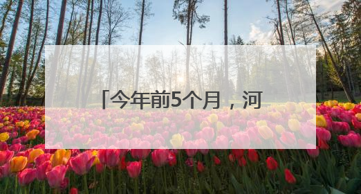 今年前5个月，河北自贸试验区进出口超300亿元