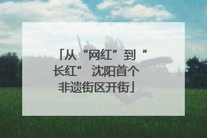 从“网红”到“长红” 沈阳首个非遗街区开街