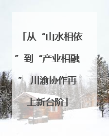 从“山水相依”到“产业相融” 川渝协作再上新台阶