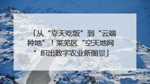 从“靠天吃饭”到“云端种地”！莱芜区“空天地网”织出数字农业新图景