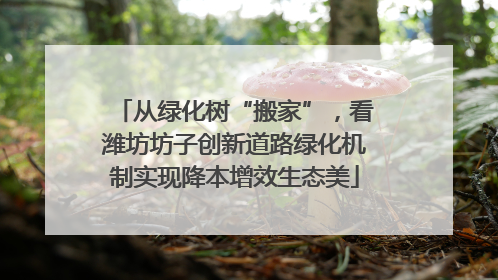 从绿化树“搬家”，看潍坊坊子创新道路绿化机制实现降本增效生态美