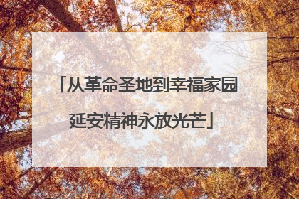 从革命圣地到幸福家园 延安精神永放光芒