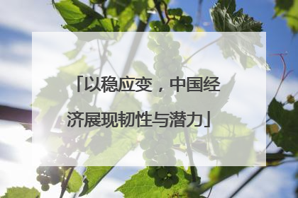 以稳应变，中国经济展现韧性与潜力