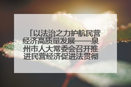 以法治之力护航民营经济高质量发展——泉州市人大常委会召开推进民营经济促进法贯彻实施座谈会