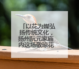 以花为媒弘扬传统文化，扬州阮元家庙内这场敬琼花活动寓意隽永