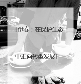 伊春：在保护生态中走向转型发展