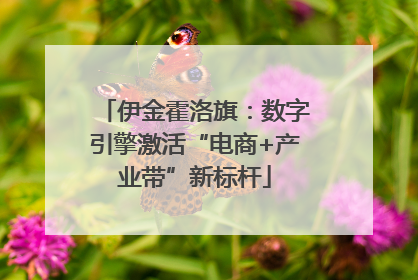 伊金霍洛旗：数字引擎激活“电商+产业带”新标杆